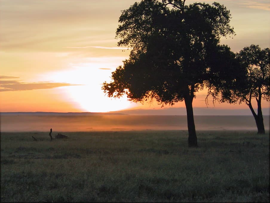 Watching the Evening Sunset in the wild