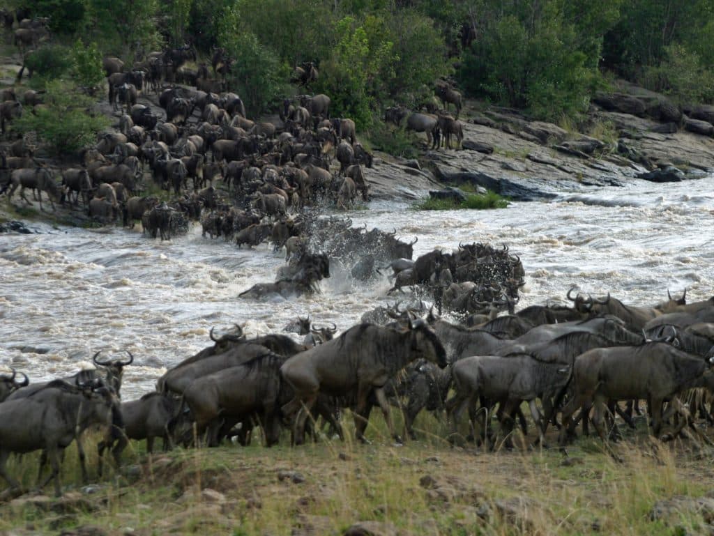 Landplane Adventures | 2 Days Masai Mara